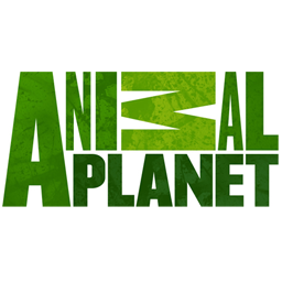 Animal Planet Animal Planet